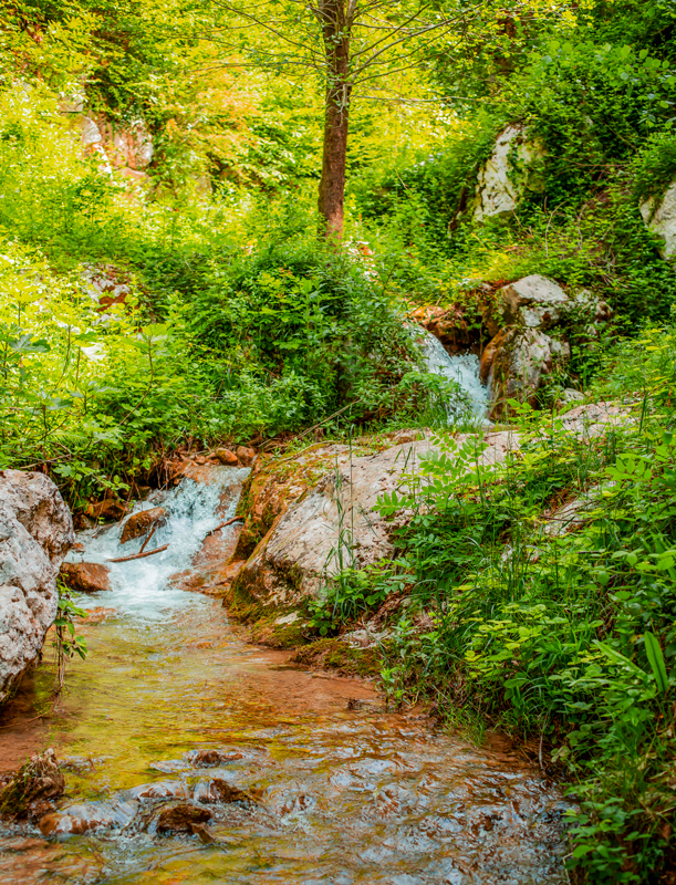 Ruscello tra rocce e vegetazione rigogliosa nel castagneto del Piccola Valle – Valley Resort