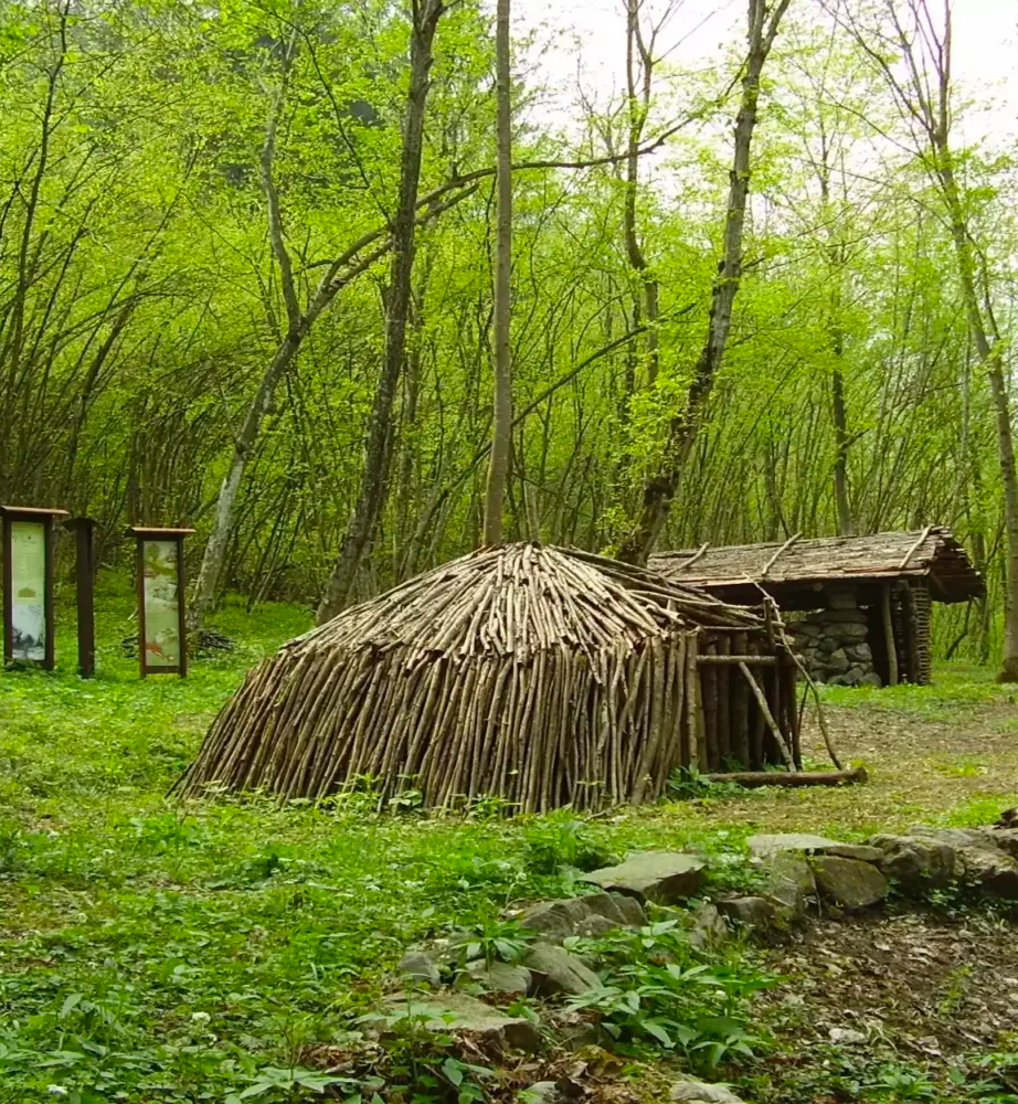 Ruscello tra rocce e vegetazione rigogliosa nel castagneto del Piccola Valle – Valley Resort