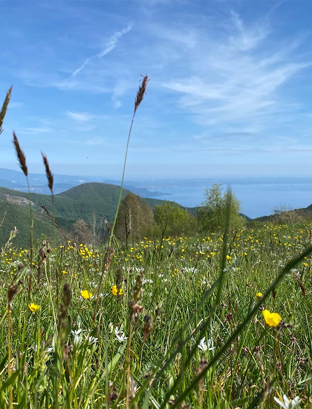 vista sul Lago di Garda dalle pendici del Monte Cingolo, durante il trekking